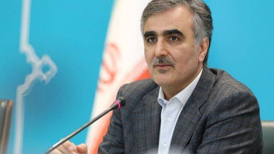 فرزین: ایران عضو و سهامدار بانک بریکس میشود