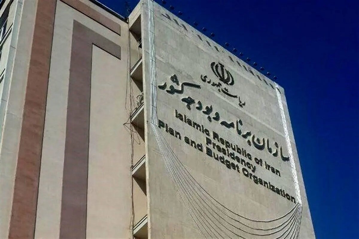 تسویه تمام مطالبات گندمکاران تا پایان هفته جاری
