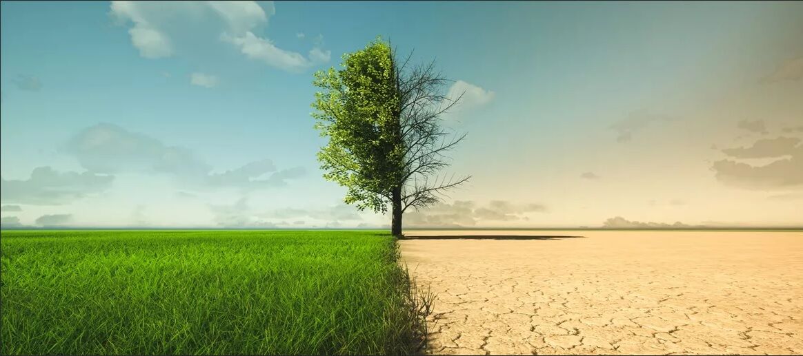 ضرورت همگرایی ملی و منطقهای برای رسیدن به امنیت غذایی پایدار