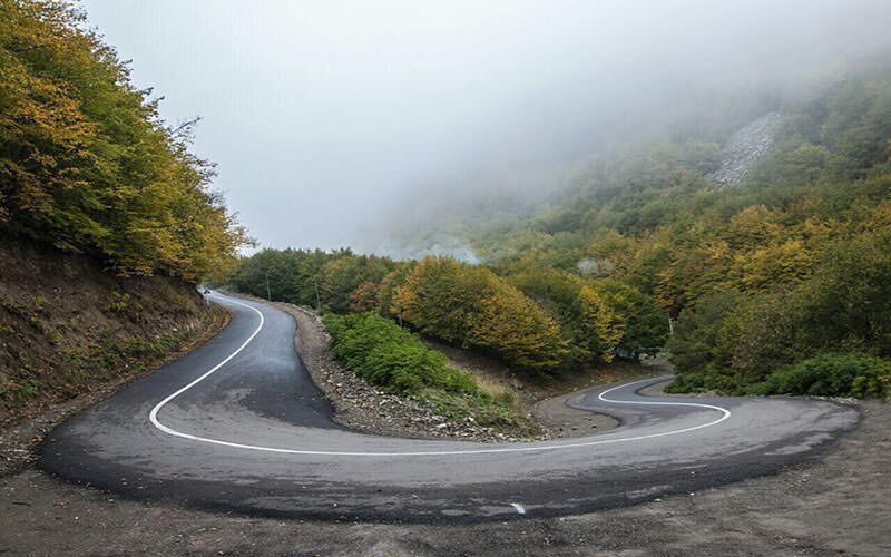 ثبت جهانی جنگلهای ارسباران در دست پیگیری است