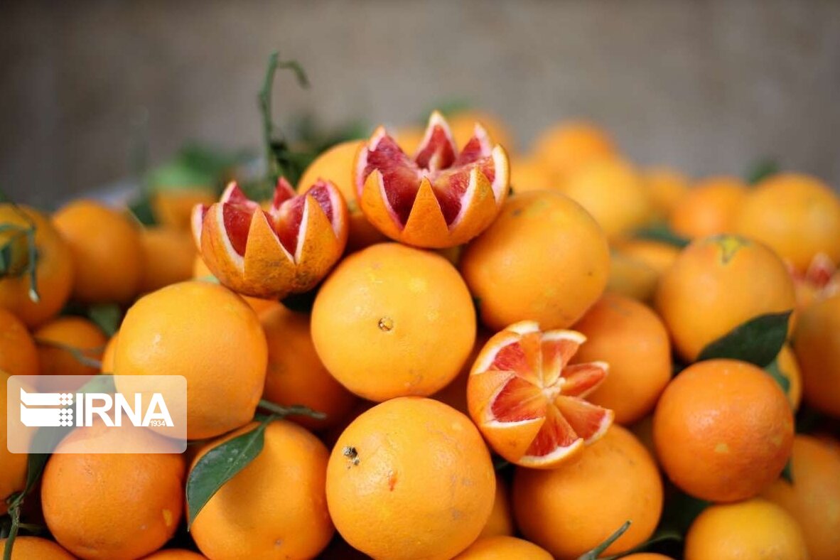 جزئیات تنظیم بازار میوه شب عید استان تهران اعلام شد