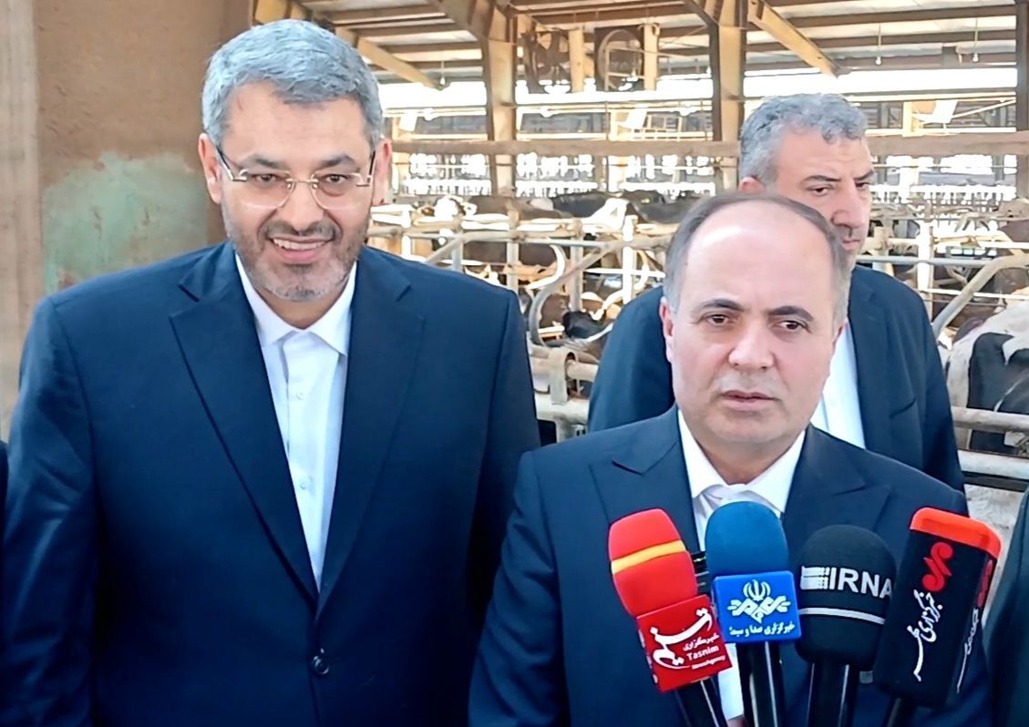 وزیر جهاد کشاورزی: برقراری بازار پررونق و متعادل از لحاظ قیمت درآستانه سال نو + فیلم