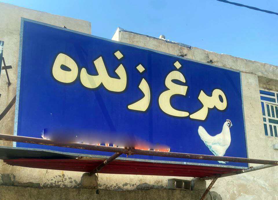 عرضه غیرمجاز مرغ زنده در شیراز و بی تفاوتی مسئولان