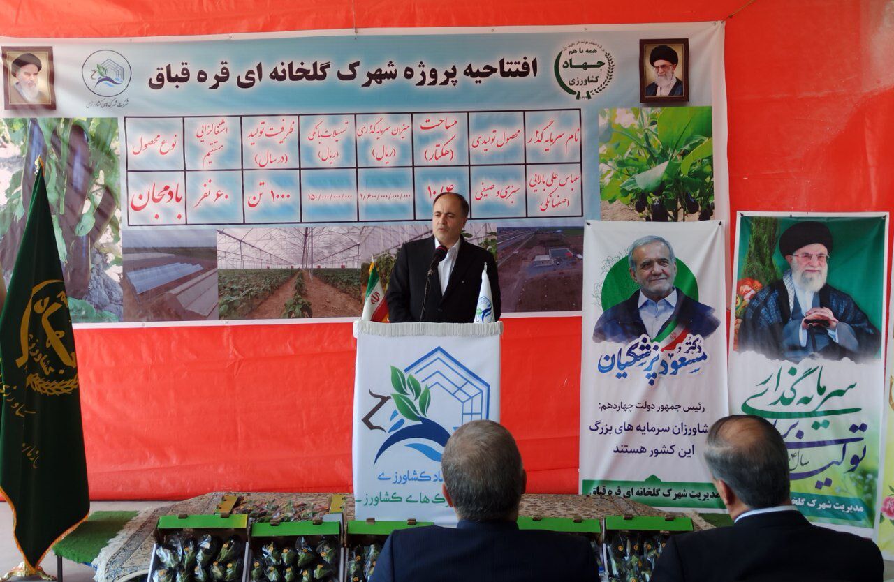 وزیر جهاد کشاورزی: ۴۰۰ میلیون دلار محصولات گلخانهای صادر شد