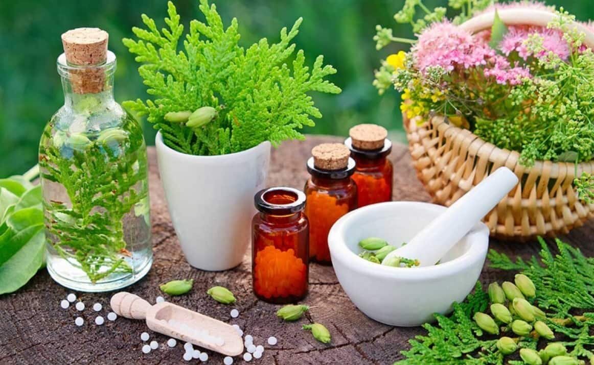 داروهای گیاهی را از عطاری نخرید
