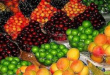 توزیع روزانه میوه به ۲۲ هزارتن رسید