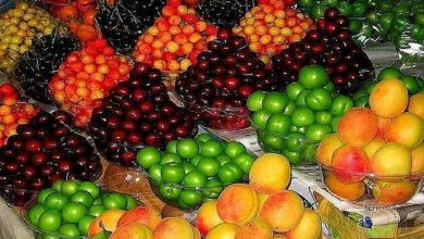 توزیع روزانه میوه به ۲۲ هزارتن رسید