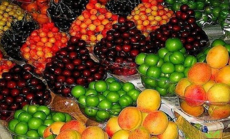 توزیع روزانه میوه به ۲۲ هزارتن رسید