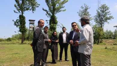 تقدیر از محیط‌بانان پارك ملی بوجاق در راستای مسئولیت‌های اجتماعی منطقه آزاد انزلی