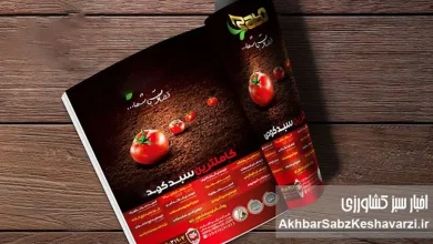 به گزاش غذا و تغذیه به نقل از اخبار سبز کشاورزی؛ مجلات و روزنامه‌ها همواره بازوی توانمندی برای اطلاع‌رسانی در حوزه‌های مختلف اجتماعی، ادبی، هنری، اقتصادی و به‌ویژه کشاورزی بوده‌اند و نقش مؤثری در انعکاس نقاط قوت و ضعف موجود ایفا کرده‌اند.