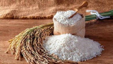 کاهش ۳۵ درصدی قیمت برنج شمال در بنکداری‌ها