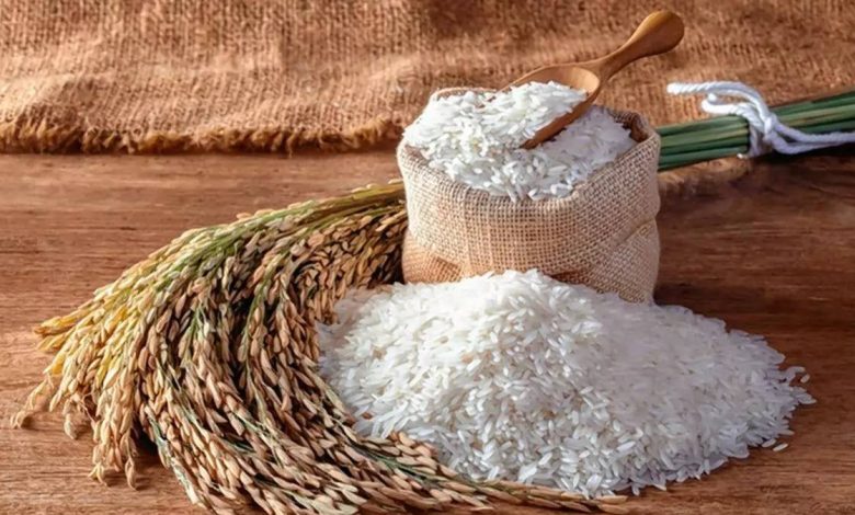 کاهش ۳۵ درصدی قیمت برنج شمال در بنکداری‌ها