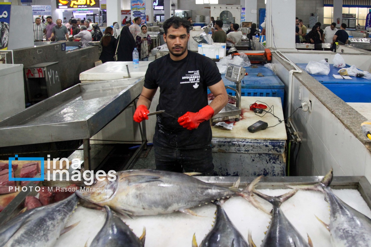 بازاریابی و بازاررسانی محصولات شیلاتی باید تقویت شود