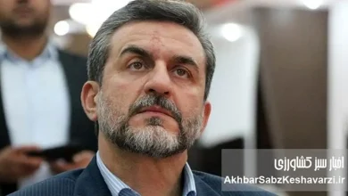 به گزارش غذا و تغذیه به نقل از اخبار سبز کشاورزی؛  با توجه به اصول و مواد حقوقی که تصریح دارد بر اینکه یک فرد دولتی، شغل دیگری از جمله بازرگانی، عضو هیئت مدیره و... را نمی‌تواند در بخش خصوصی  داشته باشد، شاپور علایی‌مقدم ظاهرا در شرکت آتی صبا میهن، هم به عنوان نماینده شرکت و هم به عنوان عضو هیئت مدیره یا نایب رئیس هیئت مدیره سمت رسمی و دخالت در امور مالی  دارد.