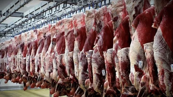 جایگزین گوشت دولتی مشخص شد