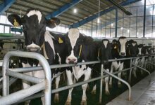 طرح آمارگیری