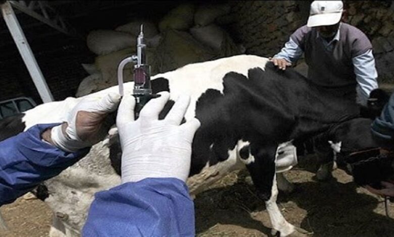 فروشگاه‌های مجاز و دارای برچسب دامپزشکی