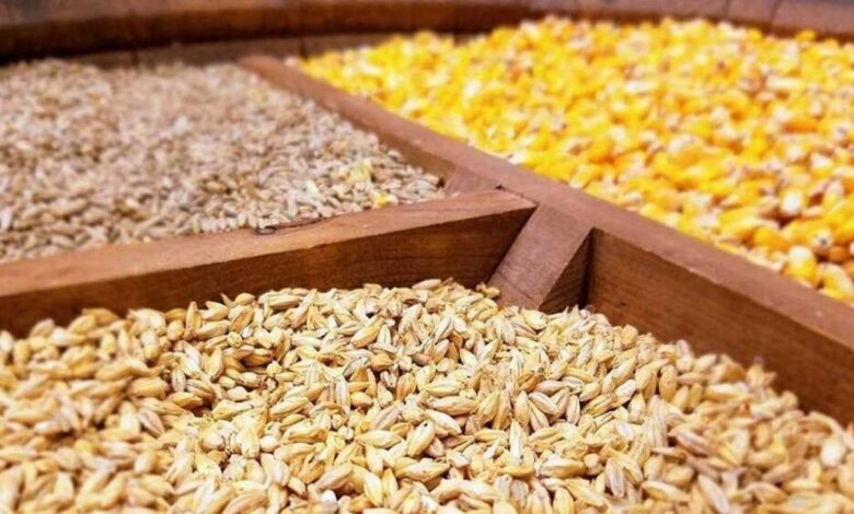 نهاده‌های دامی