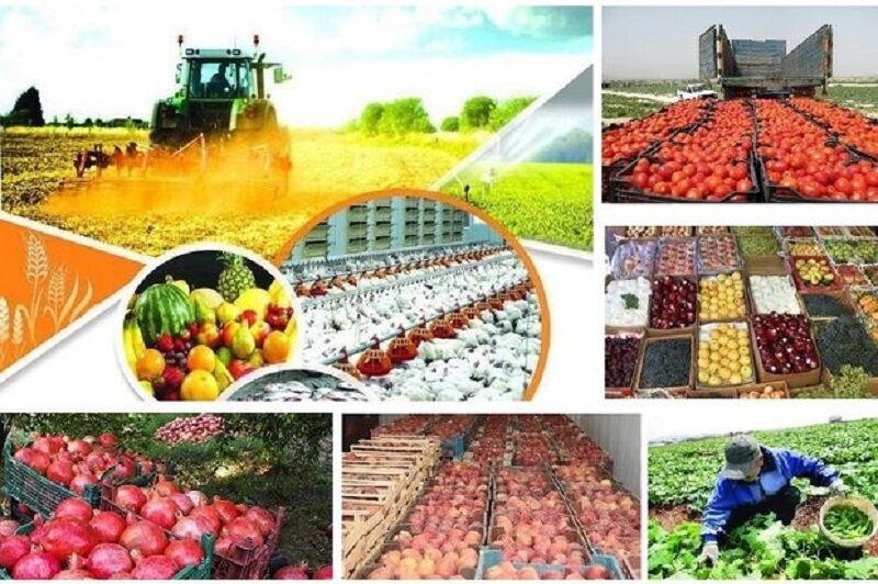 مدیریت ضایعات کشاورزی و نقش زنجیره ارزش در تحول نظام‌های کشاورزی و غذا