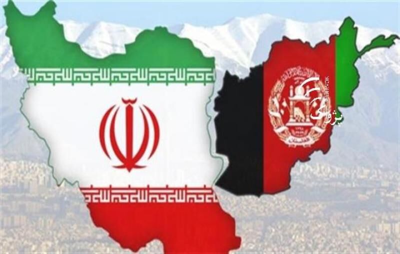 همکاری‌های ایران و افغانستان در حوزه قرنطینه و بهداشت گیاهی تقویت می‌شود