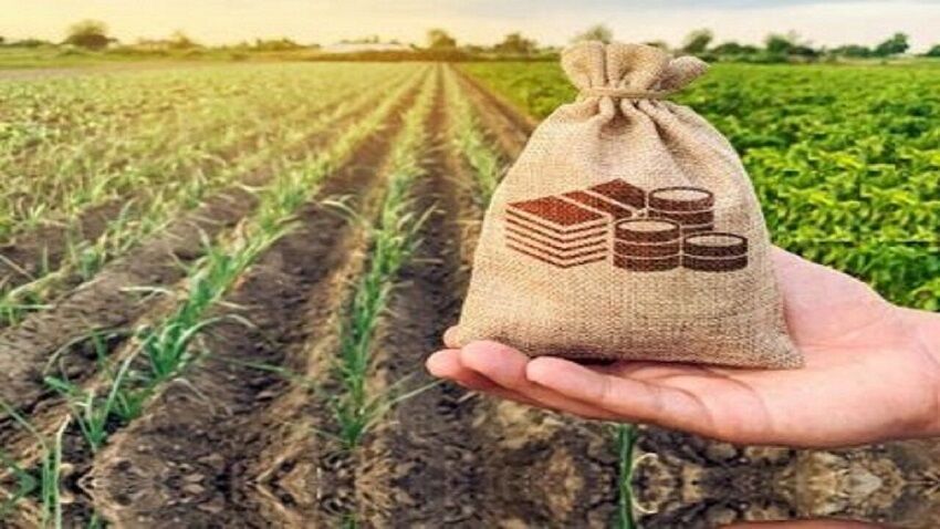 سرمایه صندوق بیمه کشاورزی ۴۰ برابر شد