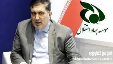 به گزارش غذا و تغذیه به نقل از اخبار سبز کشاورزی؛ مسعود نمازی، مدیر محکومِ اختلاس با حکم قطعی دادگاه، شامل پنج سال حبس، انفصال دائم از خدمات دولتی و الزام به بازگرداندن ده‌ها میلیارد تومان اموال اختلاس‌شده به‌همراه جزای نقدی، به شکلی حیرت‌آور همچنان در رأس یکی از مهم‌ترین و حساس‌ترین بنگاه‌های اقتصادی کشور وابسته به وزارت جهاد کشاورزی باقی مانده است؛ نهادی که مستقیماً با واردات چندین میلیارد دلار و یورو کالاهای اساسی، منابع ارزی و امنیت غذایی ۸۵ میلیون ایرانی در ارتباط است.