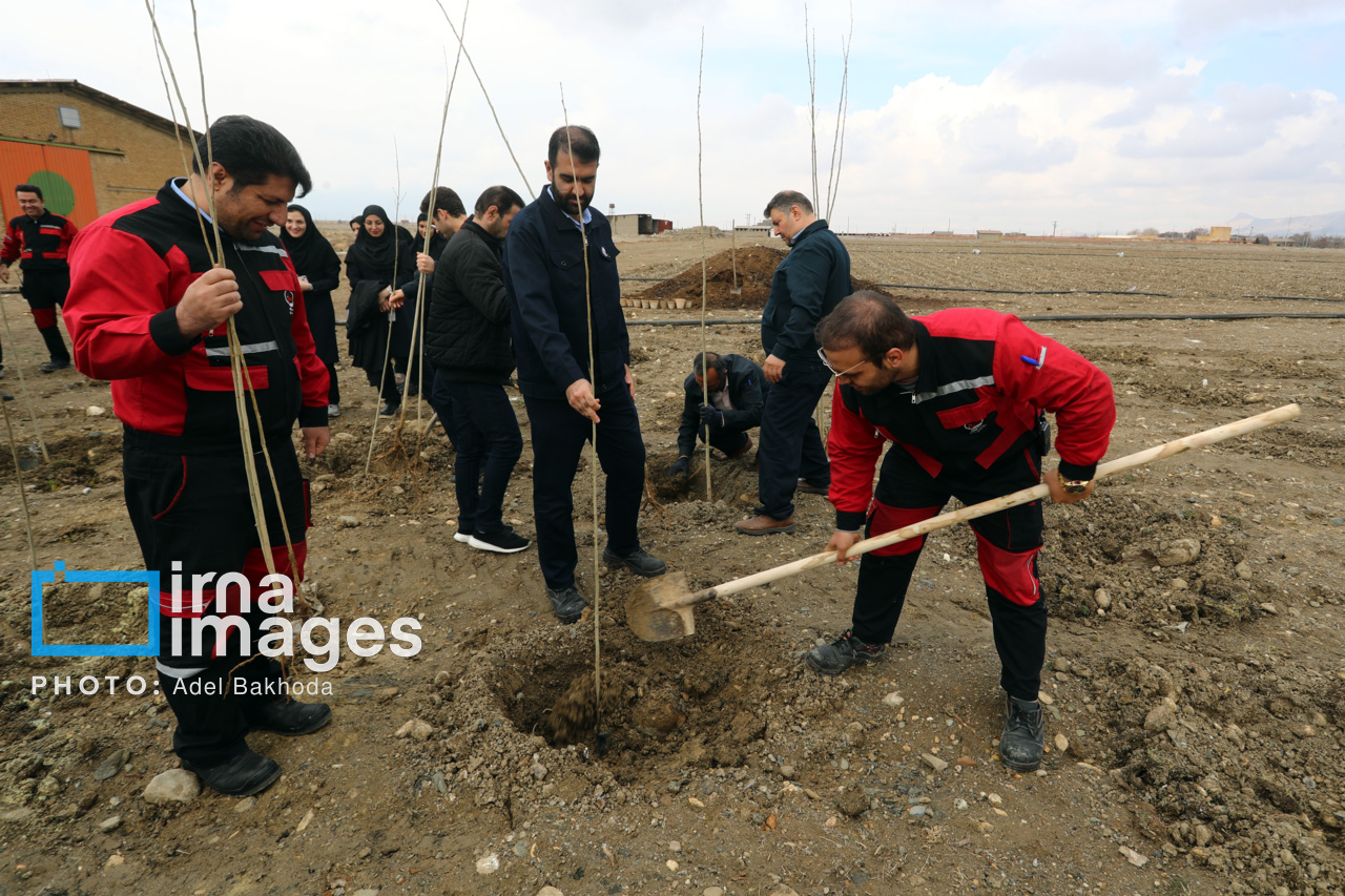 آغاز پویش سراسری درختکاری سرو ایران