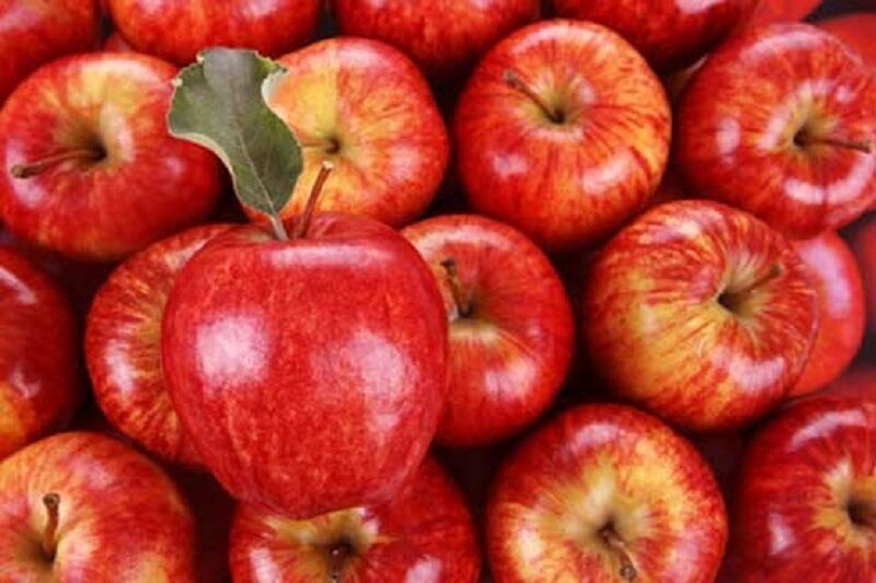 توزیع میوه تنظیم بازار شب عید در گیلان آغاز شد