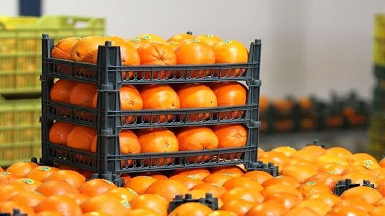 عرضه میوه شب عید از امروز در سراسر کشور آغاز شد
