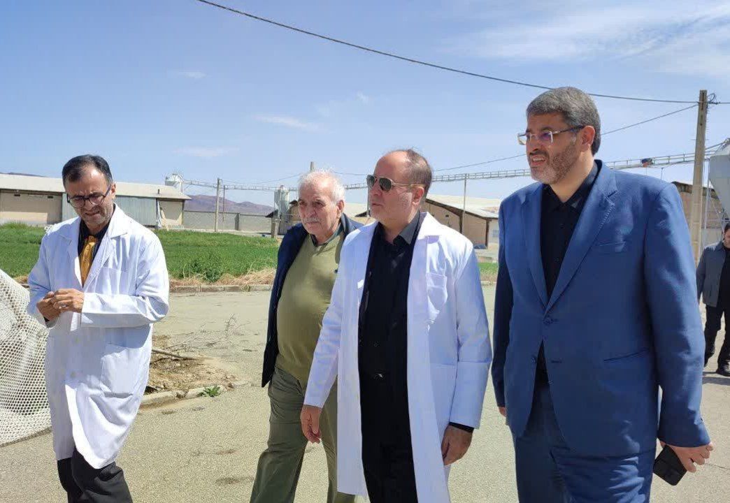 وزیر جهاد کشاورزی: نهاده‌های دامی باید بدون تأخیر در اختیار تولیدکنندگان قرار گیرد