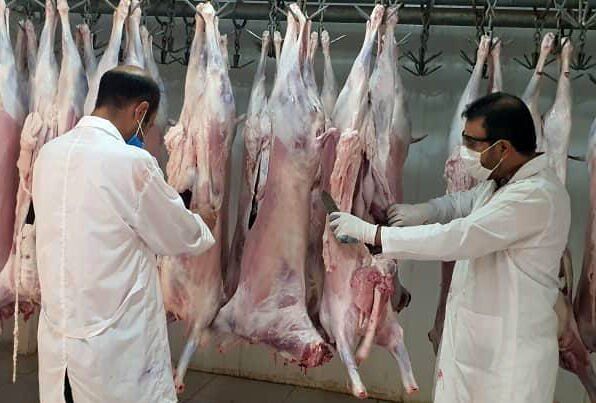تداوم نظارت‌های بهداشتی دامپزشکی در شرایط جنگی برای صیانت از امنیت غذایی