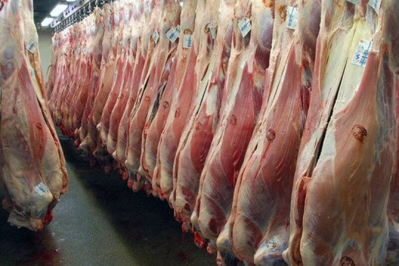 عوارض جدید واردات گوشت قرمز اعلام شد/ هر کیلو ۱۱۰۰ تومان