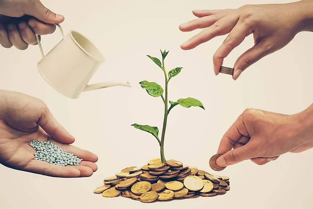 بهرهگیری از ظرفیت تعاونیهای تولیدی برای ارتقای امنیت غذایی در کشور